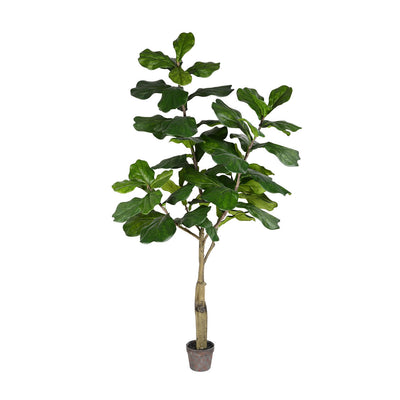 Vickerman 6 Foot Potted Artificial Fiddle Leaf Tree Home and Office Decoration