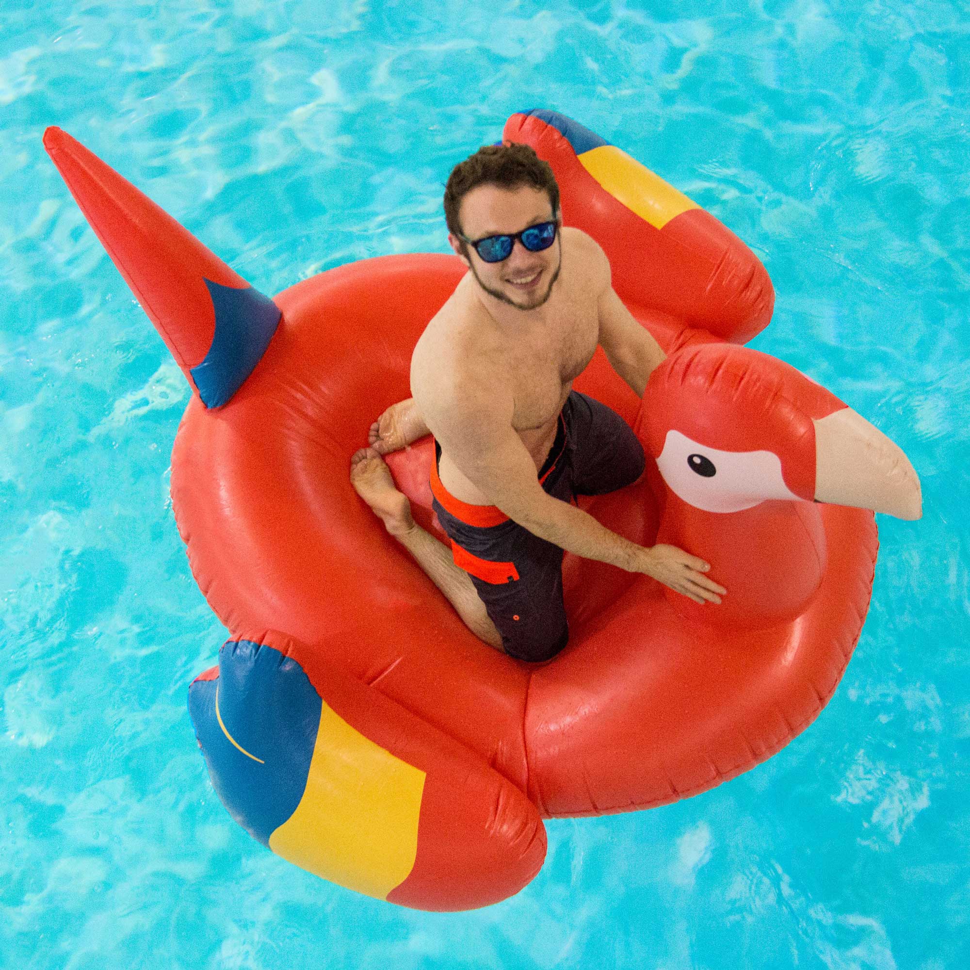 Inflatable Blue Jay Pool Float Bundled w/ Giant Tropical Parrot Inflatable Float