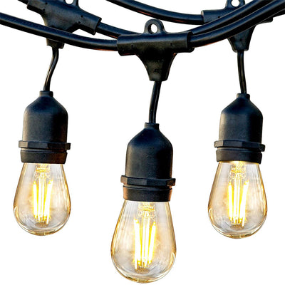 Brightech Ambience Pro Edison Black LED Waterproof String Lights, 24 Ft (2 Feet)