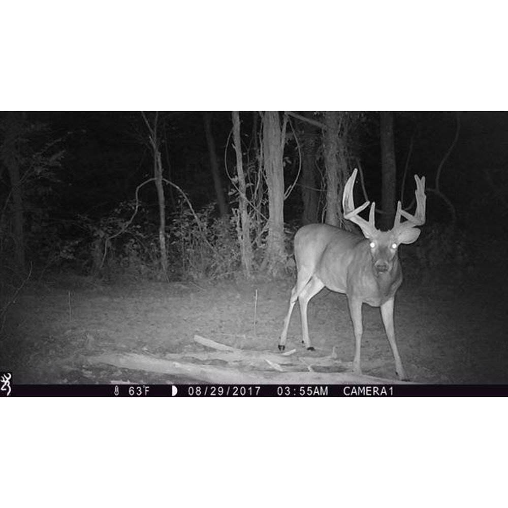 Browning 2018 Strike Force Pro XD Dual Lens Technology Camoflage Hunting Camera