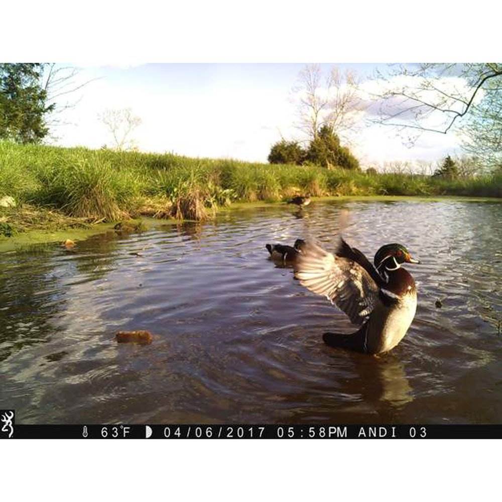 Browning Dark Ops HD Pro 18MP Video IR Game Trail Camera (2 Pack) + SD Cards