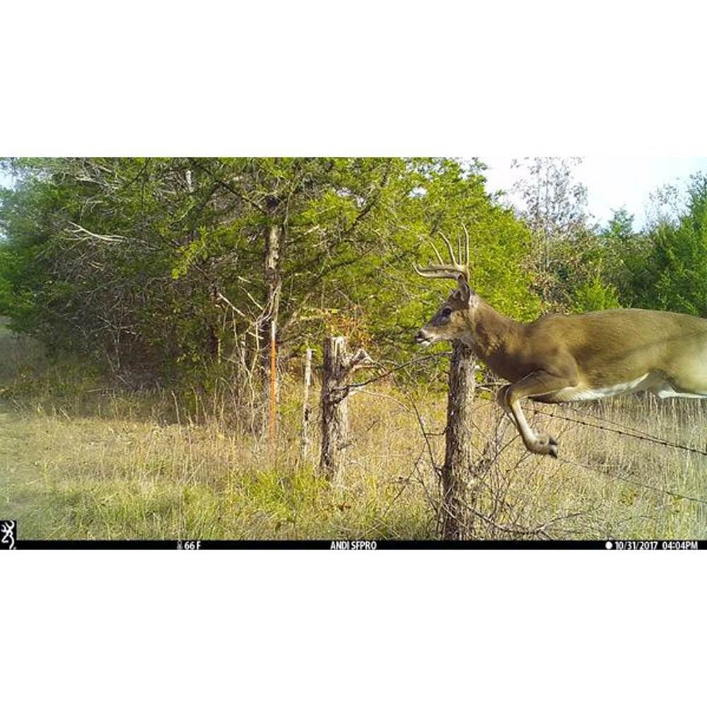 Browning Dark Ops HD Pro 18MP Video IR Game Trail Camera (4 Pack) + SD Cards