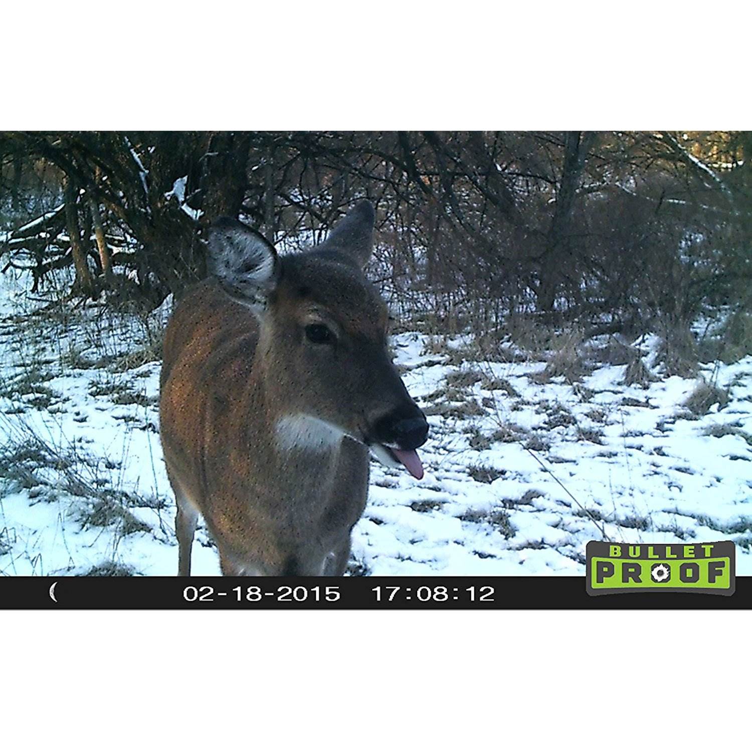 Primos Bullet Proof Game Camera (Certified Refurbished) + SanDisk 16GB SD Card