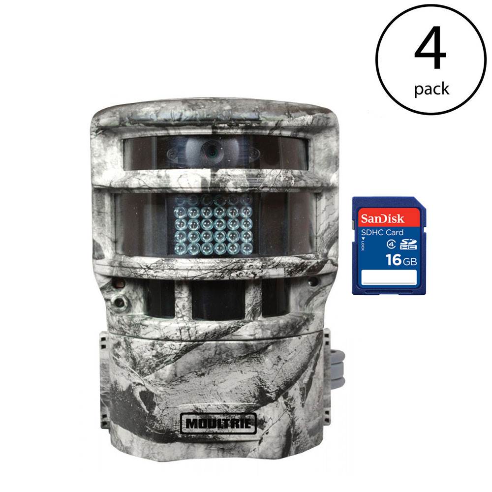 Moultrie P150 8MP Trail Camera (4 Pack) + SanDisk 16GB SD Memory Card (4 Pack)