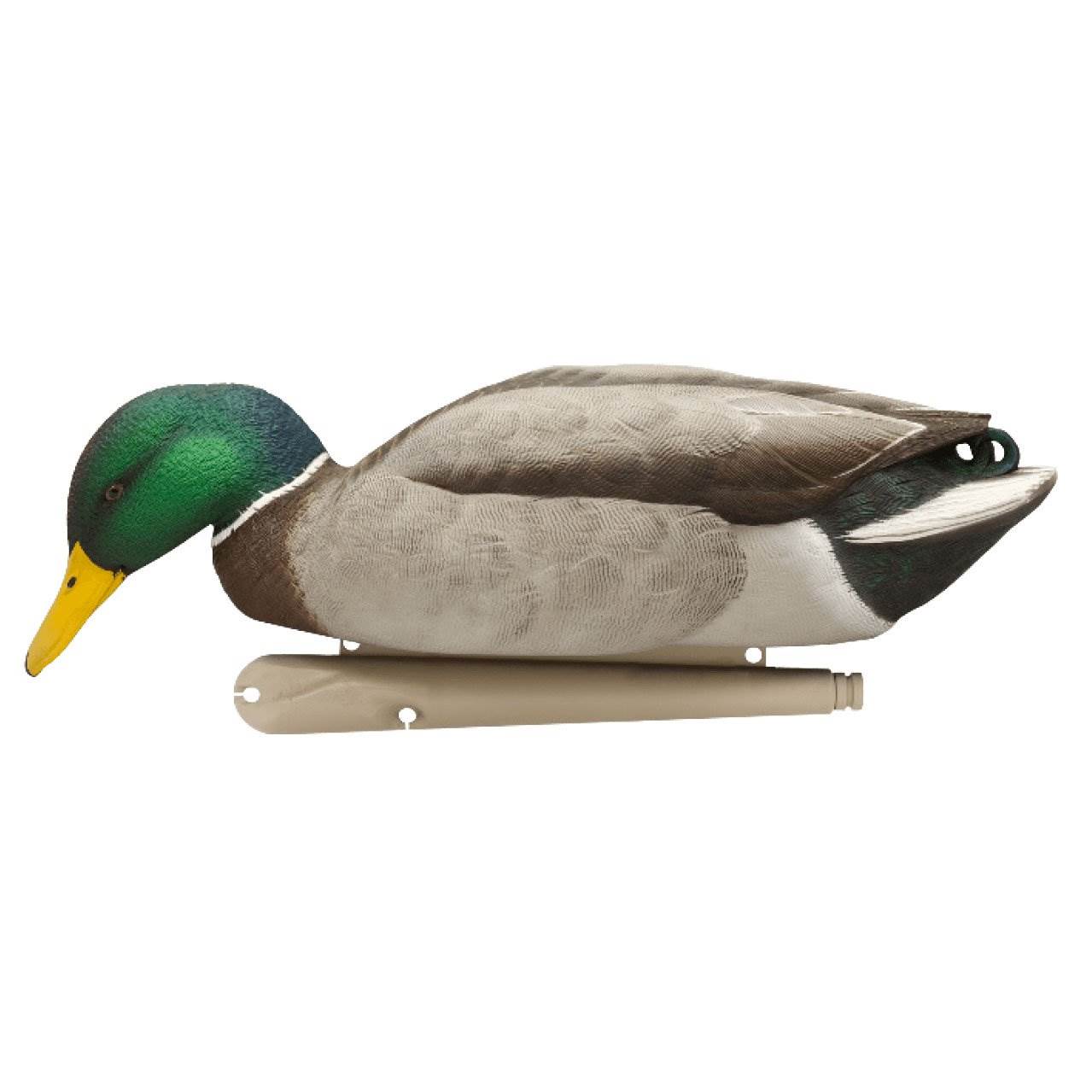 Avian X TopFlight Floating Backwater Feeder Mallard Duck Hunting Decoys, 6 Pack