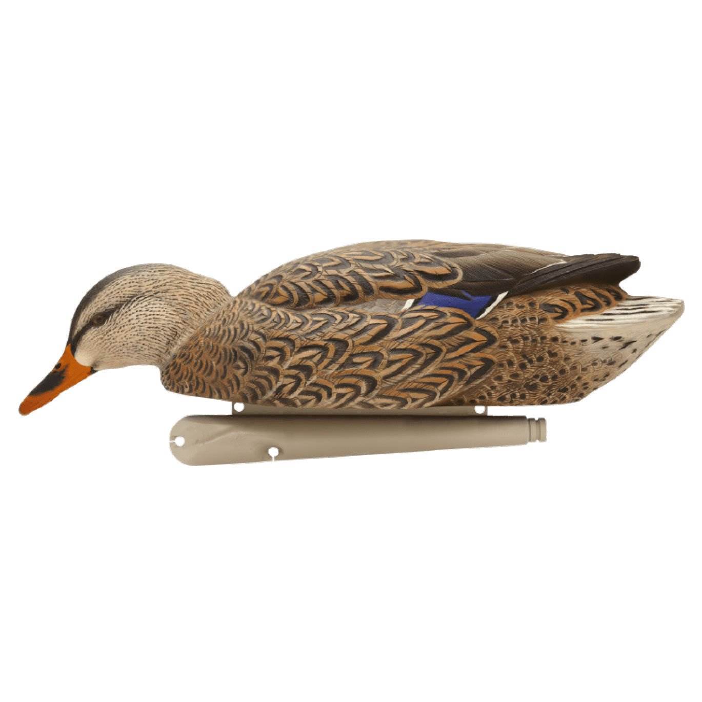 Avian X TopFlight Floating Backwater Feeder Mallard Duck Hunting Decoys, 6 Pack