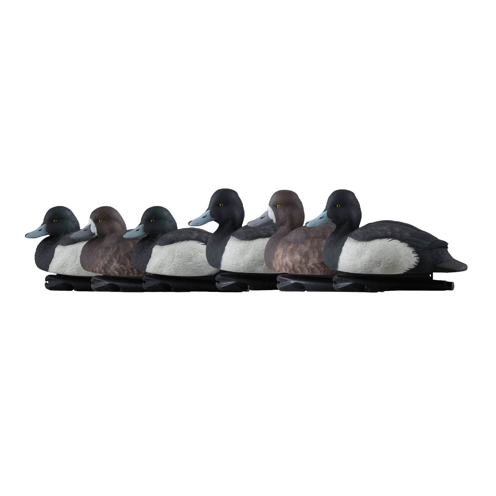 Avian X Top Flight Blue Bill Duck Hunting Floater Decoys, Black & Brown (6 Pack)
