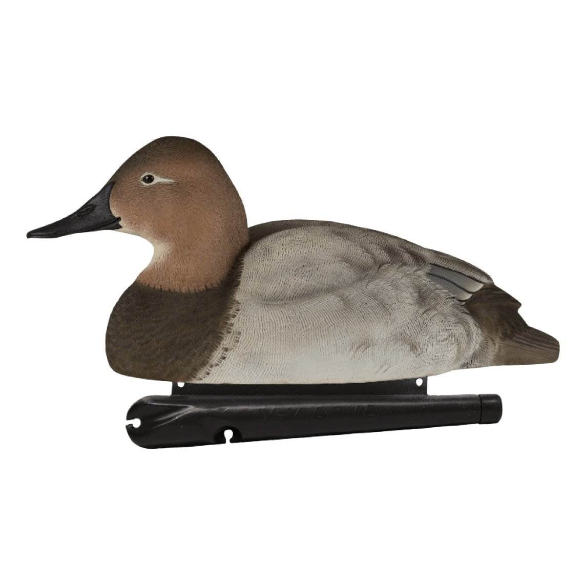 Avian X Top Flight Floating Canvasback Duck Waterfowl Hunting Decoys (6 Pack)