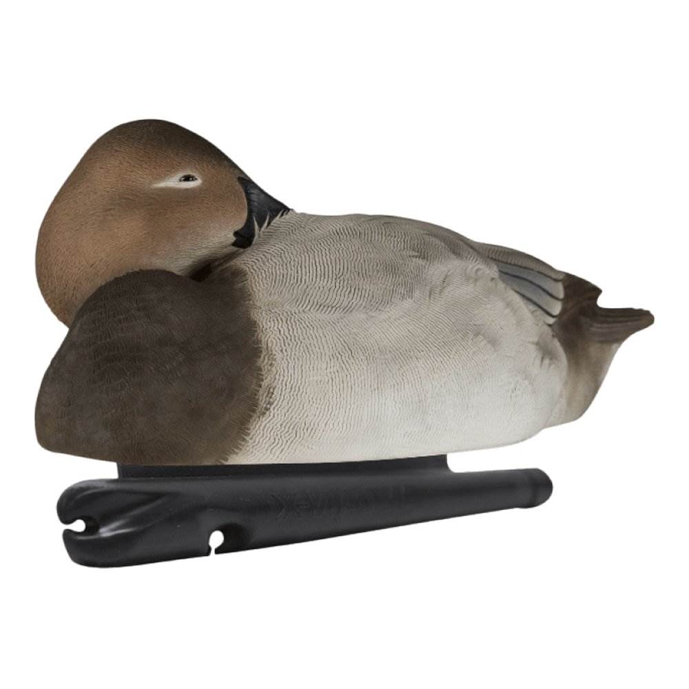 Avian X Top Flight Floating Canvasback Duck Waterfowl Hunting Decoys (6 Pack)