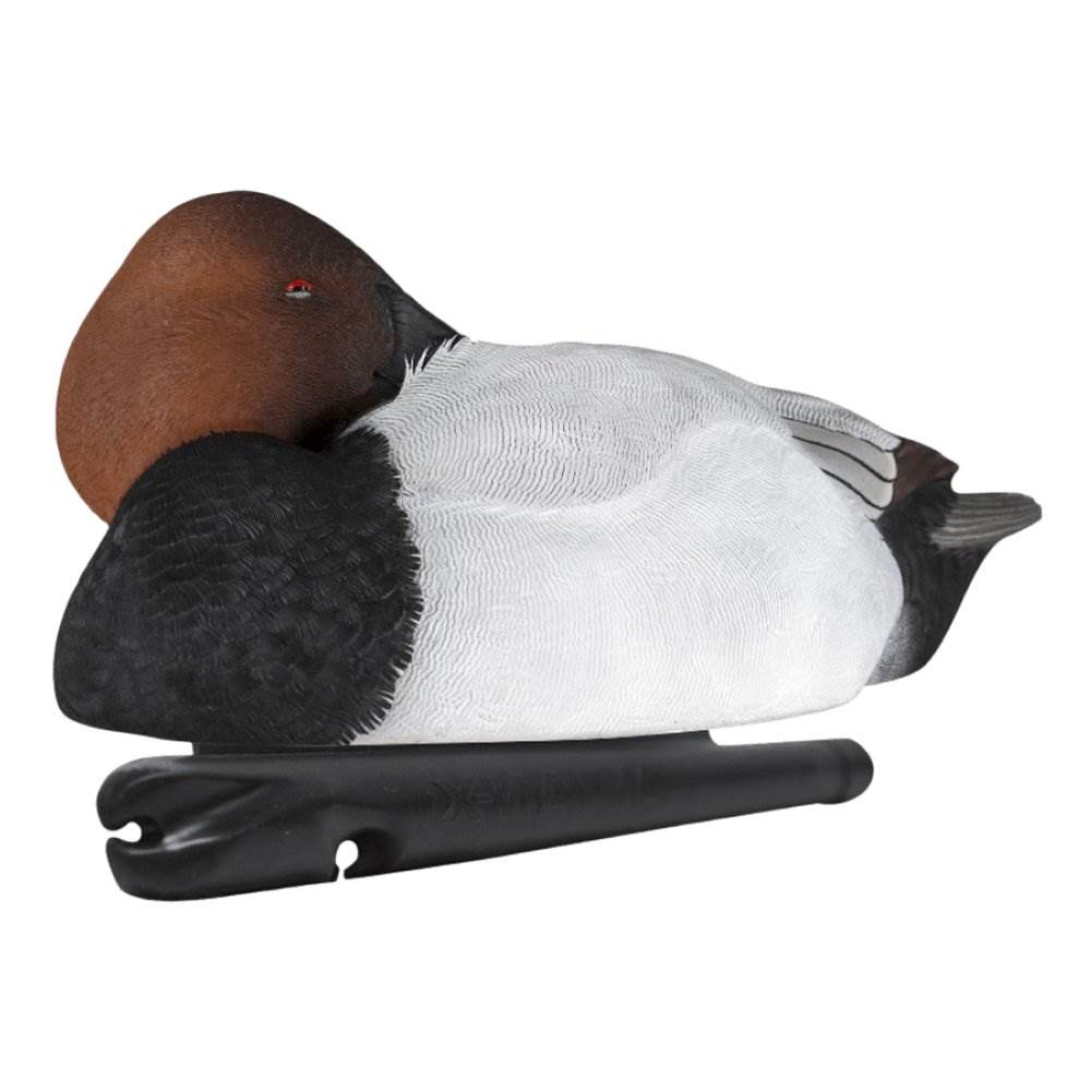 Avian X Top Flight Floating Canvasback Duck Waterfowl Hunting Decoys (6 Pack)