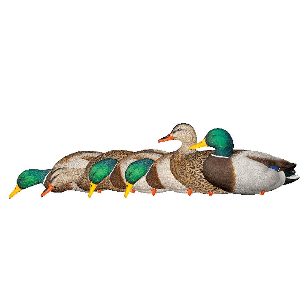Avian X Top Flight Full Body Mallard Duck Hunting Floater Decoys, Green (6 Pack)