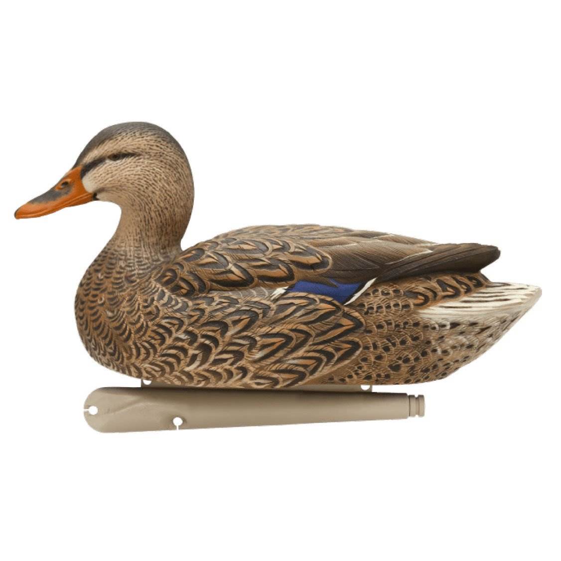 Avian X TopFlight Fusion Feeder Mallard Duck Hunting Decoys (6 Pack) (Open Box) - VMInnovations