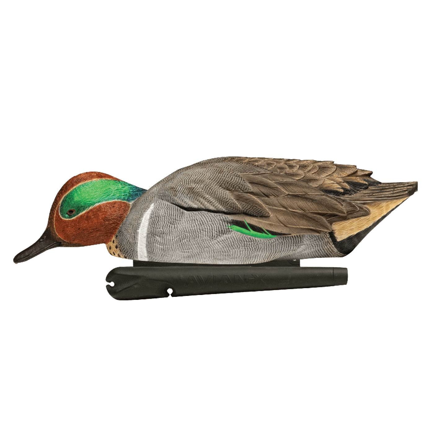 Avian-X Top Flight Green-Winged Duck Floater Decoys (6 Pack) (Open Box)