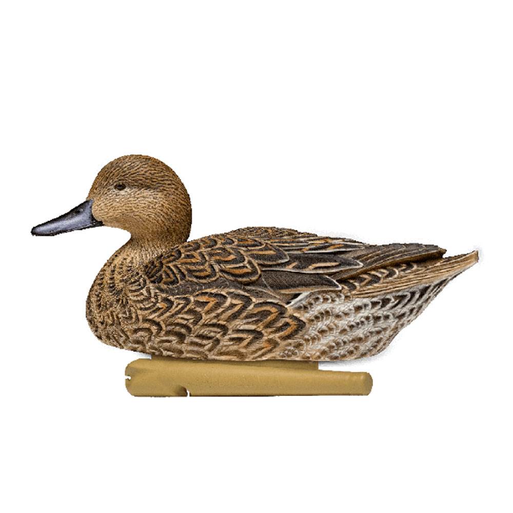 Avian X Top Flight Pintail Duck Waterfowl Hunting Floater Decoys, Brown (6 Pack)
