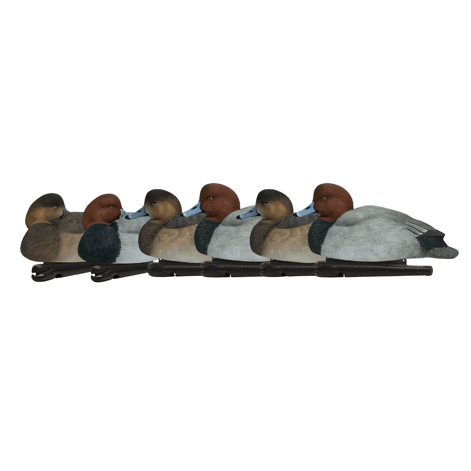 Avian X Top Flight Floating Redhead Duck Waterfowl Hunting Decoys (6 Pack)