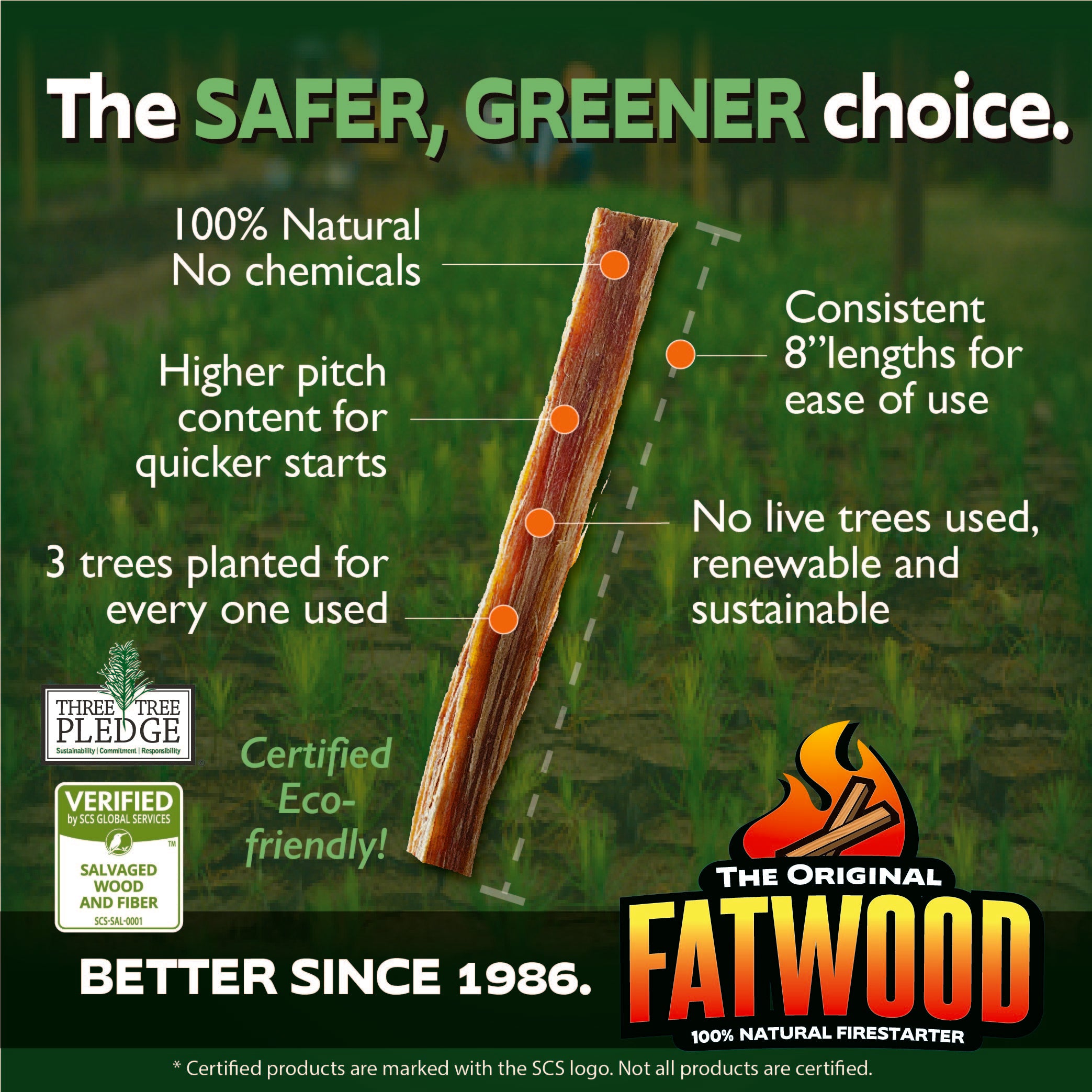 Betterwood Fatwood Firestarter, All Weather Natural Pine Fire Sticks, 10 Pounds - VMInnovations