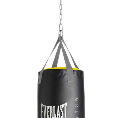 Everlast Dual Bag Stand, Nevatear 100 Pound Heavy Bag, and Pro Style Gloves