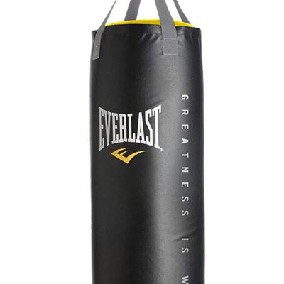 Everlast Dual Bag Stand, Nevatear 100 Lb Heavy Bag, & Pro Style Training Gloves
