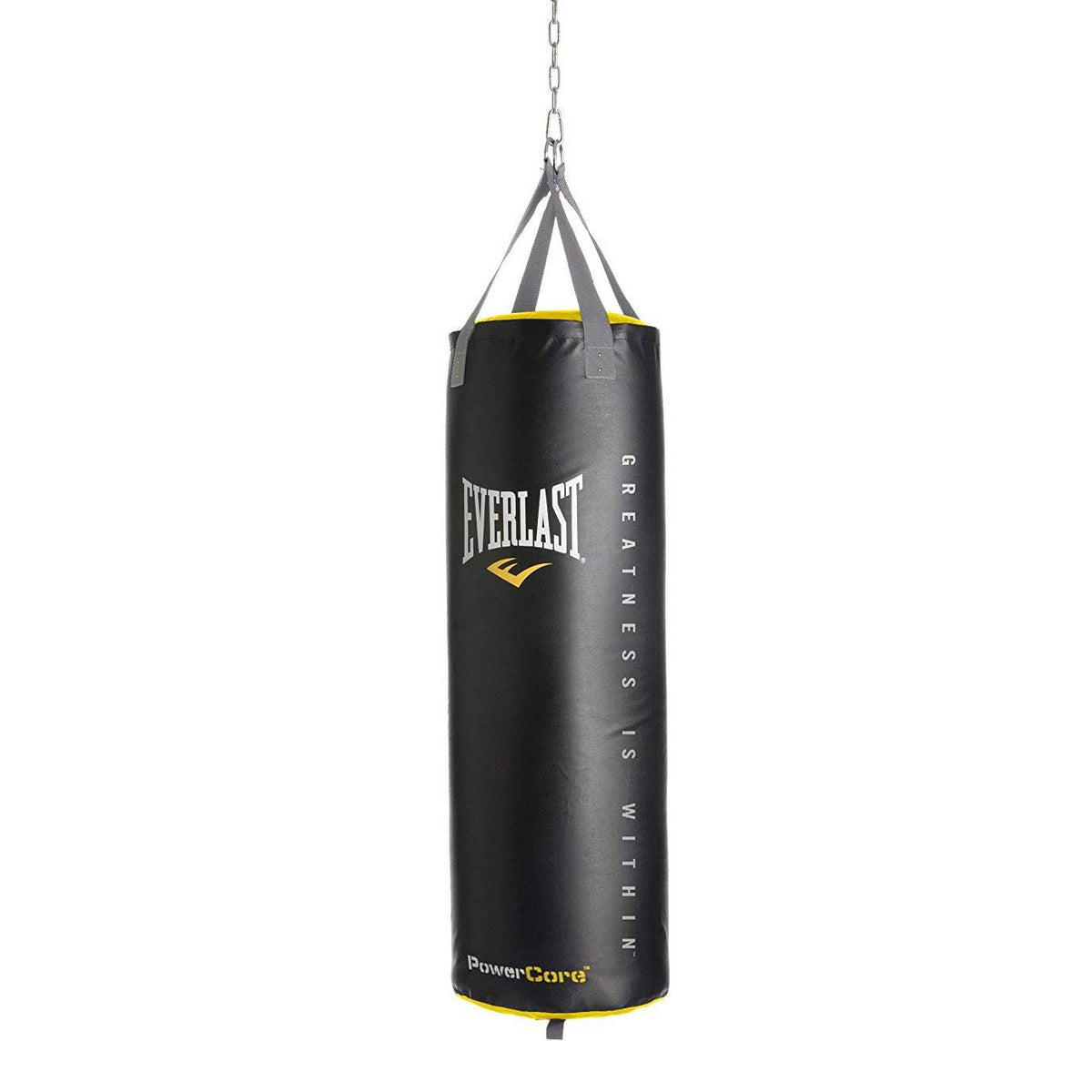Everlast Powercore Nevatear 100 Pound MMA Training Hanging Heavy Bag with Stand