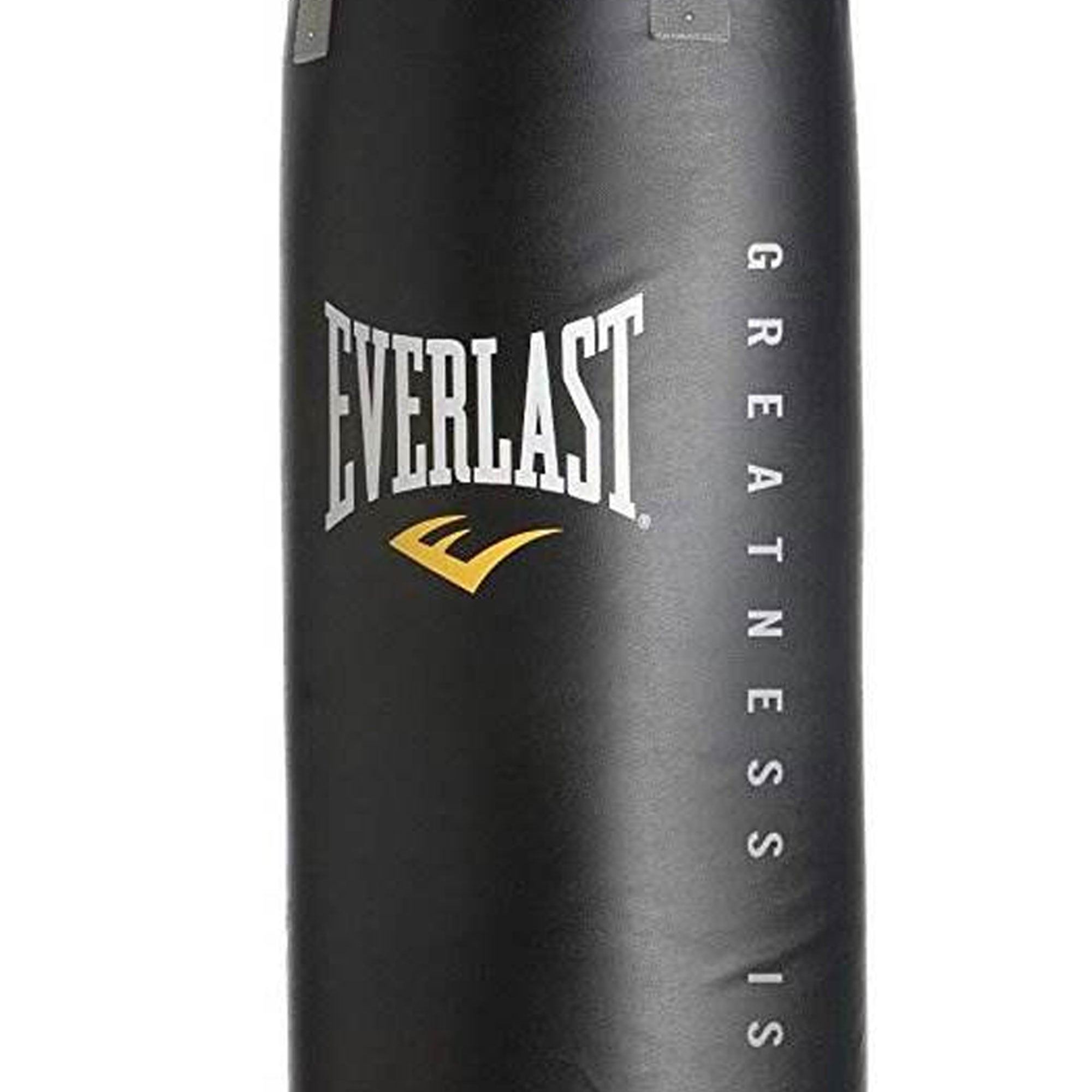 Everlast Powercore Nevatear 80 Pound Boxing MMA Gym Training Hanging Heavy Bag