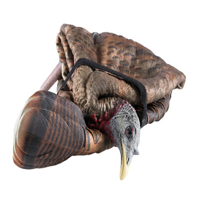 Avian X Feeder Lifelike Collapsible Folding Hen Turkey Hunting Decoy (2 Pack)