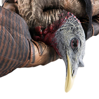 Avian X Feeder Lifelike Collapsible Folding Hen Turkey Hunting Decoy (2 Pack)