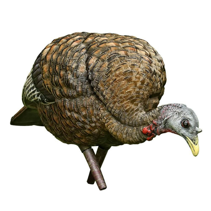 Avian X Feeder Lifelike Collapsible Folding Hen Turkey Hunting Decoy (4 Pack)