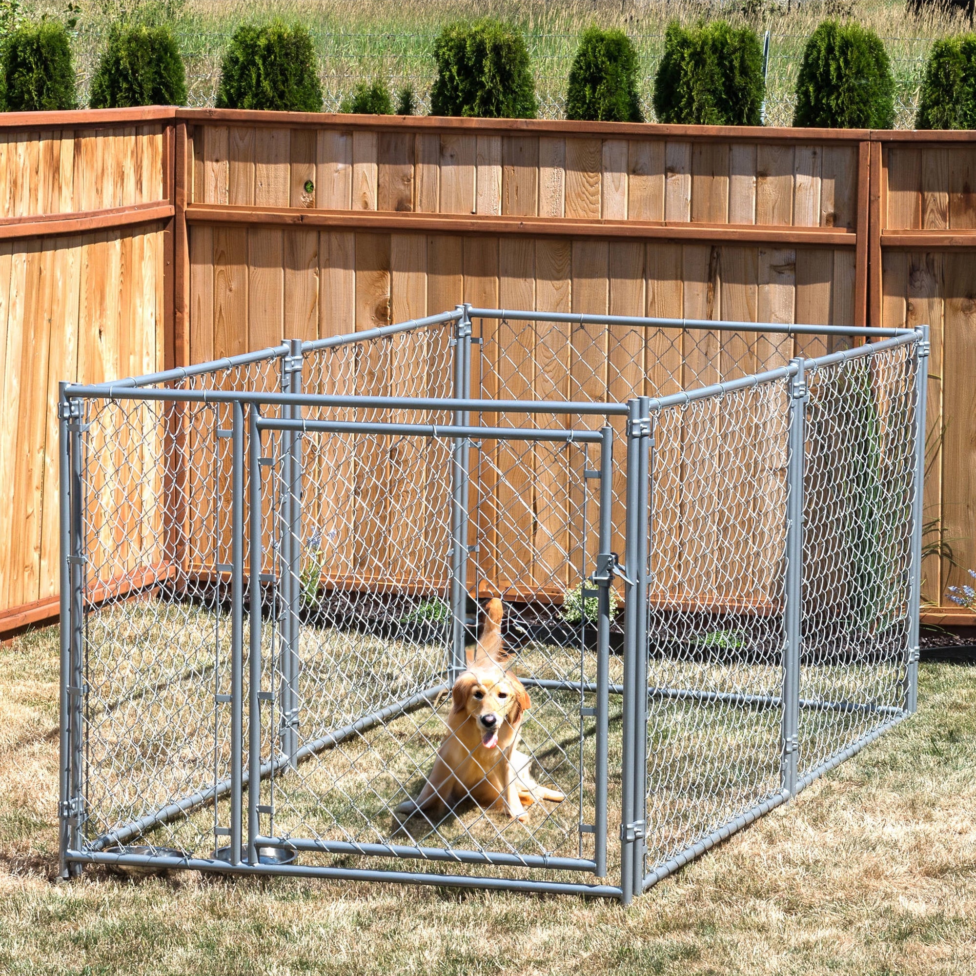 Lucky Dog 10 x 5 x 4 Foot Chain Link Dog Kennel Enclosure (Open Box)