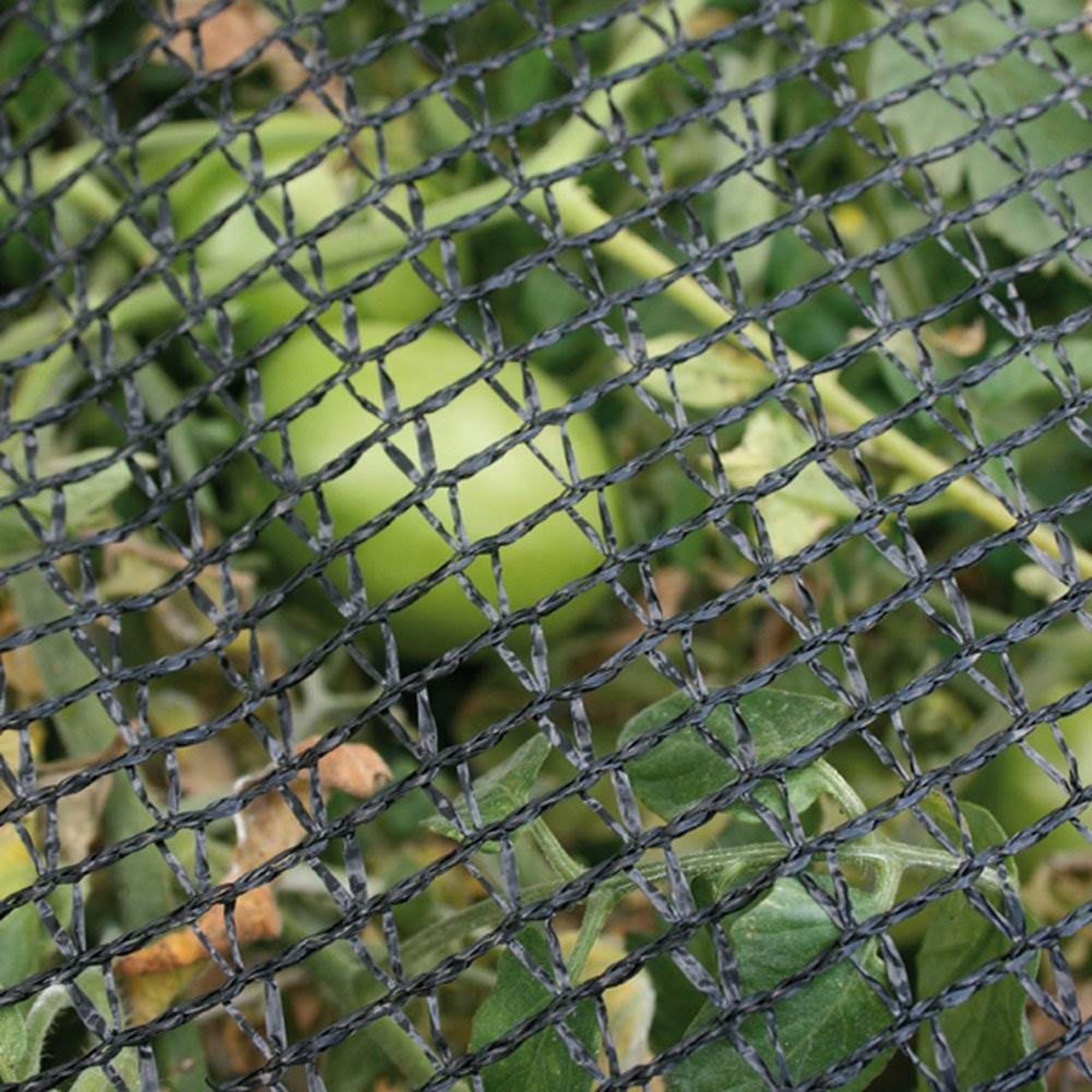 DeWitt 14 Foot Garden Bird Barricade Plant Protector Deluxe Netting (2 Pack) - VMInnovations
