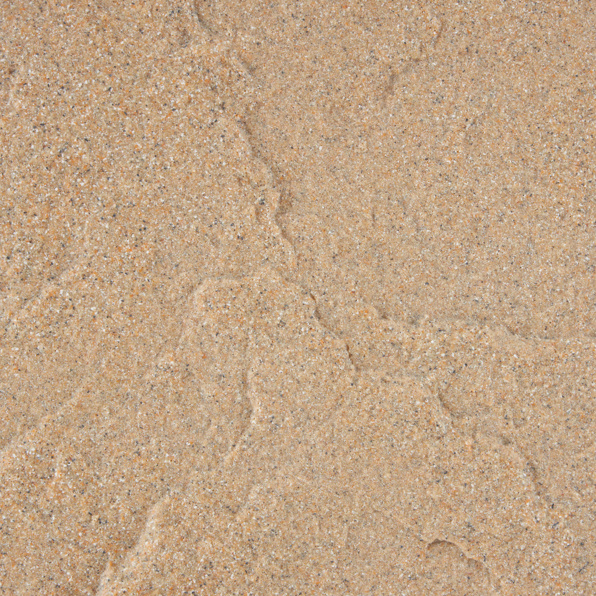 Algreen Receptacle Rock Decorative Outdoor Garden Accent Sandstone (4 Pack)