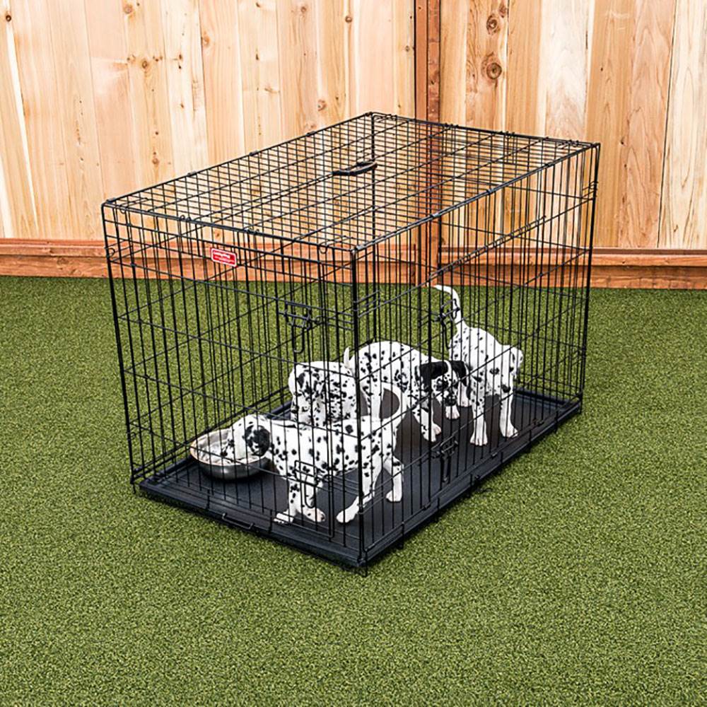 Lucky Dog 2 Door Dog Kennel w/ Leak Proof Removable Pan & Mat, Medium (Open Box)