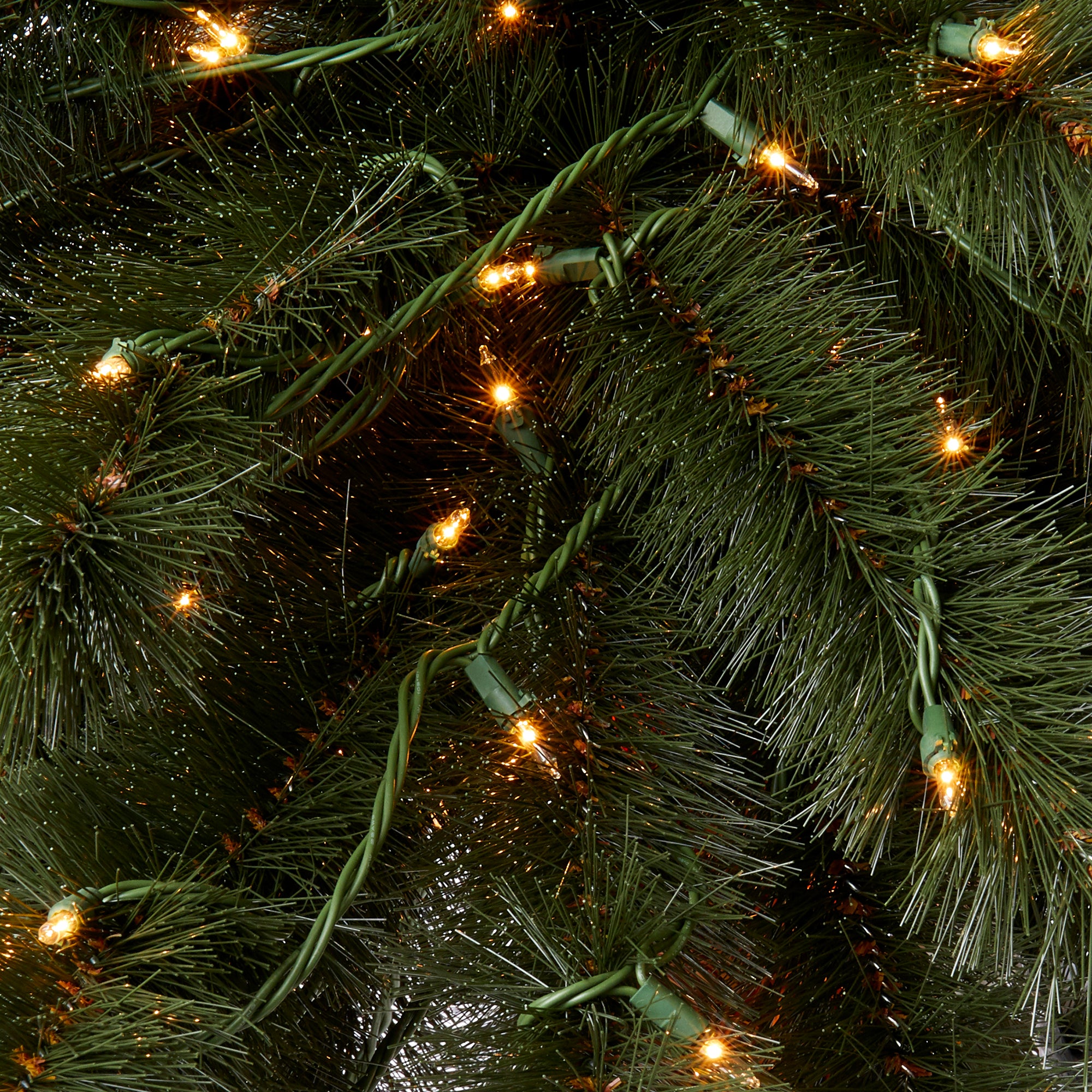 Home Heritage 6 Foot Double Pre Lit Palm Trees with 255 Lights (Used)