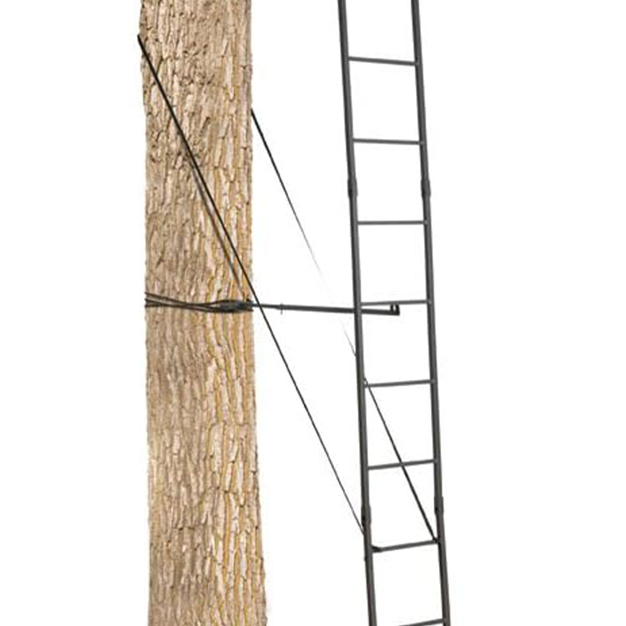 Big Game Treestands Durable The Big Buddy Outdoor Hunting Ladderstand (Open Box) - VMInnovations