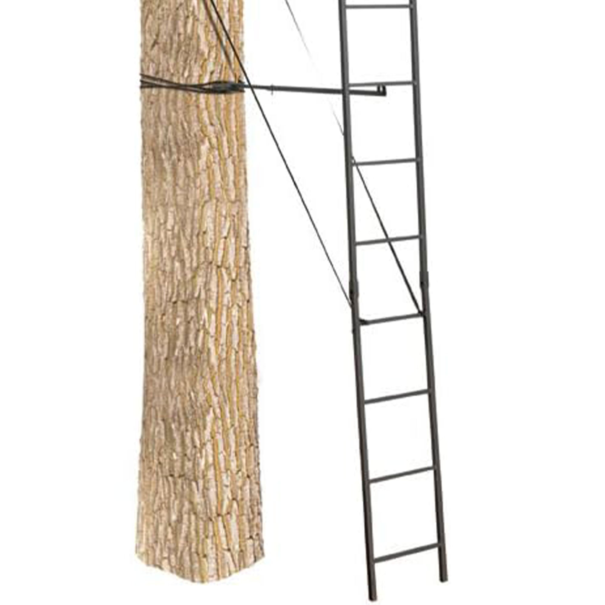 Big Game The Big Buddy Deer Hunting Ladder Climbing Tree Stand w/Flex-Tek Seat - VMInnovations