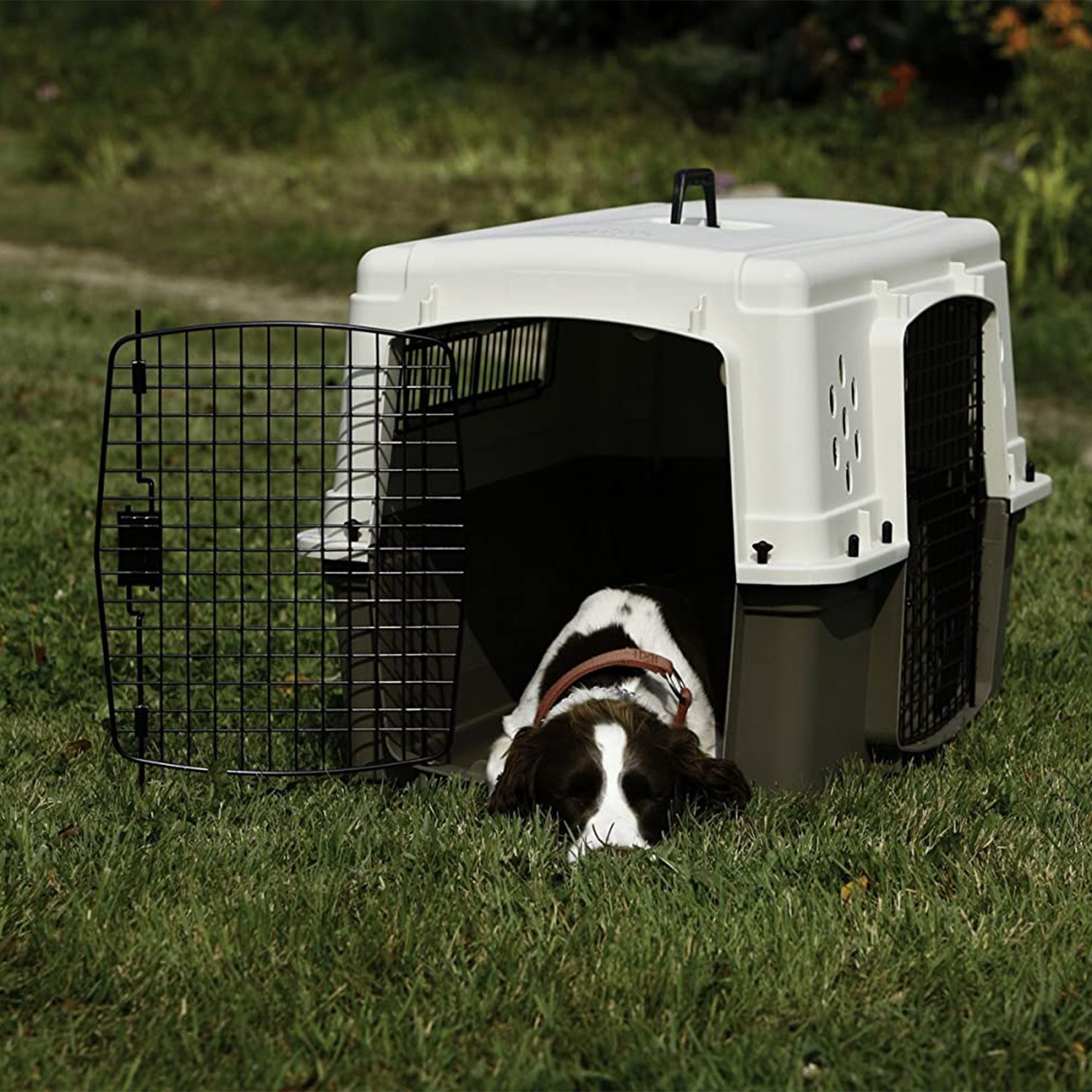 Miller Manufacturing Double Door Dog & Pet Travel Kennel Crate, Brown (Open Box) - VMInnovations