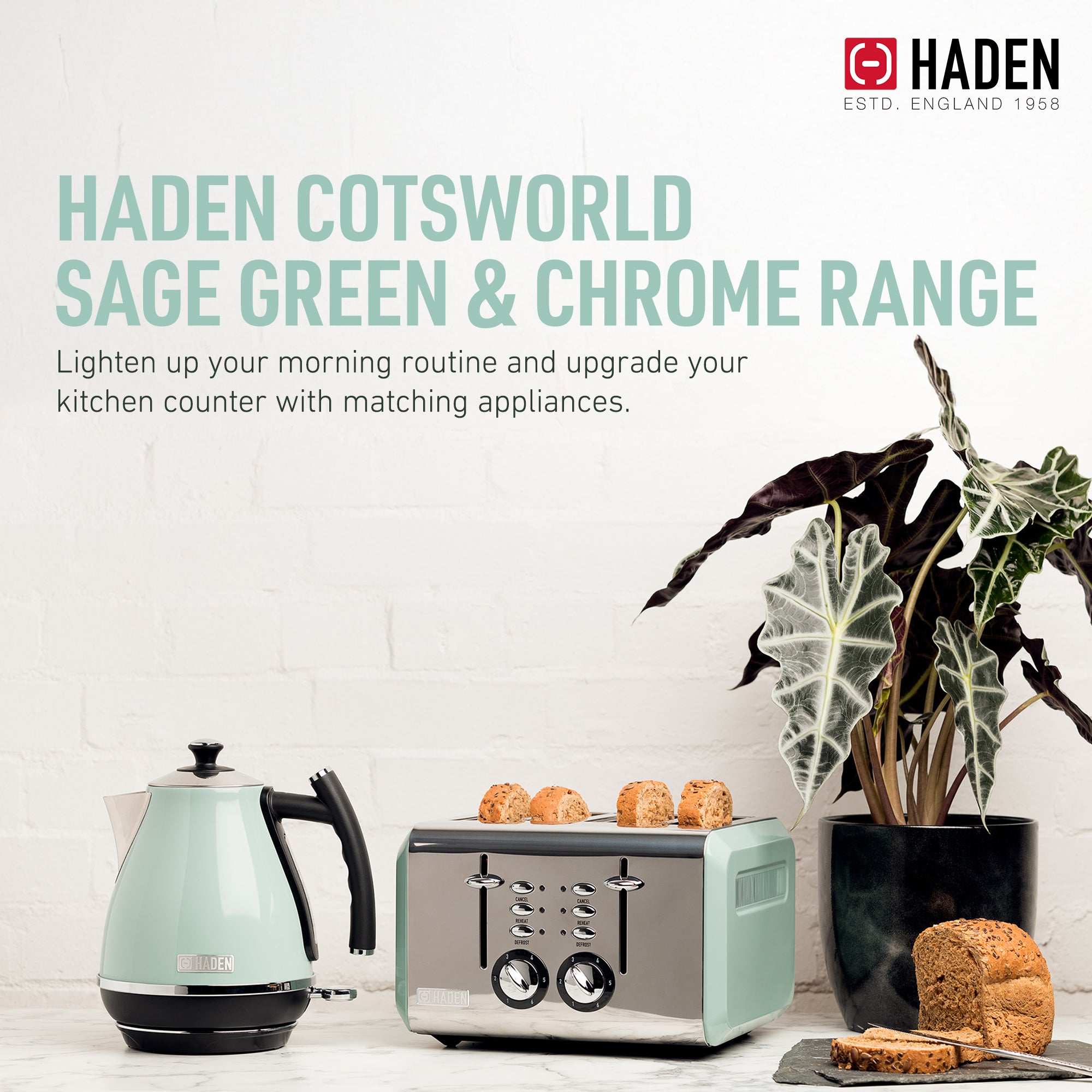Haden Cotswold Wide Slot Stainless Steel Body Toaster, Sage Green (Open Box) - VMInnovations