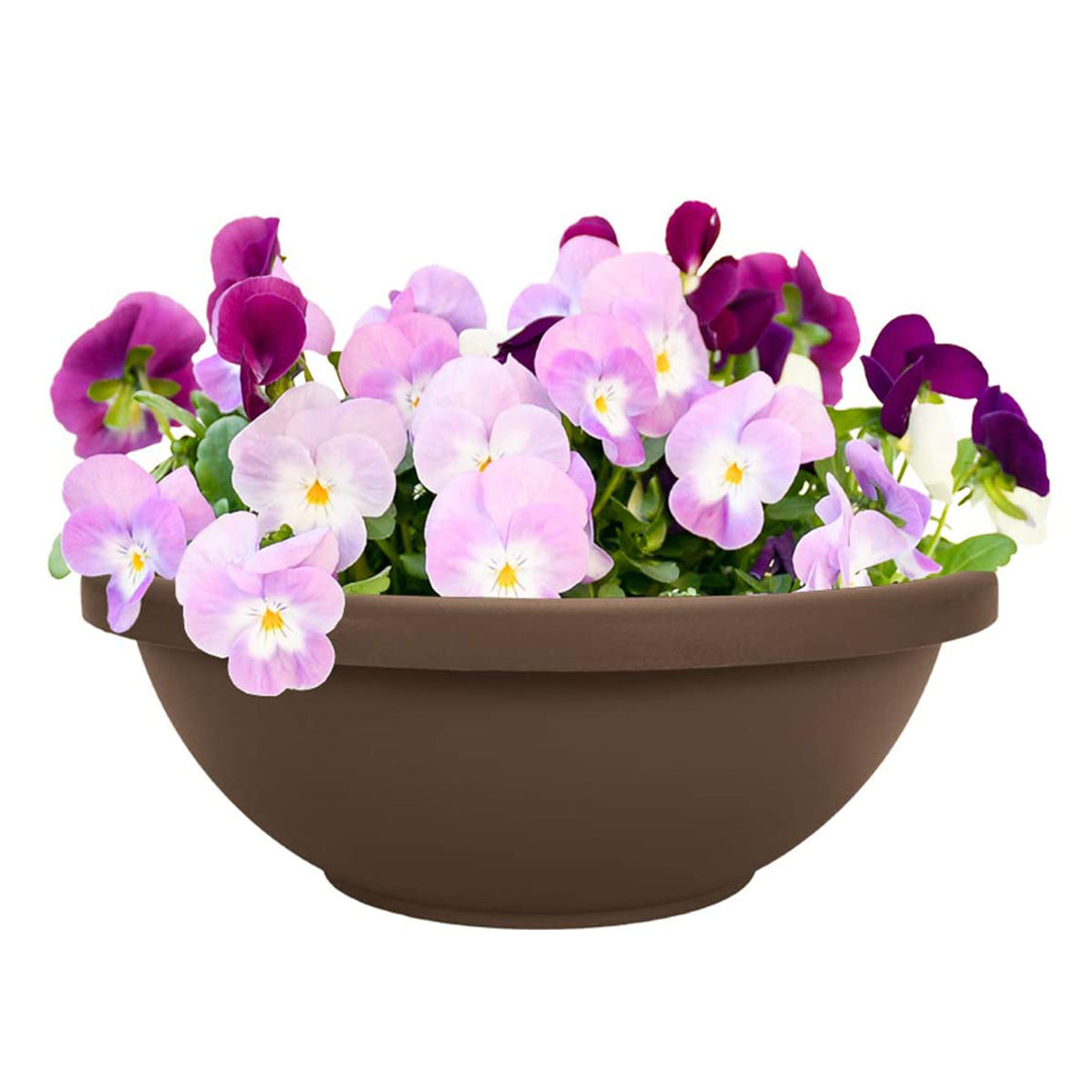 HC Companies 22 Inch Resin Garden Bowl Planter Pot, Chocolate Brown (2 Pack)