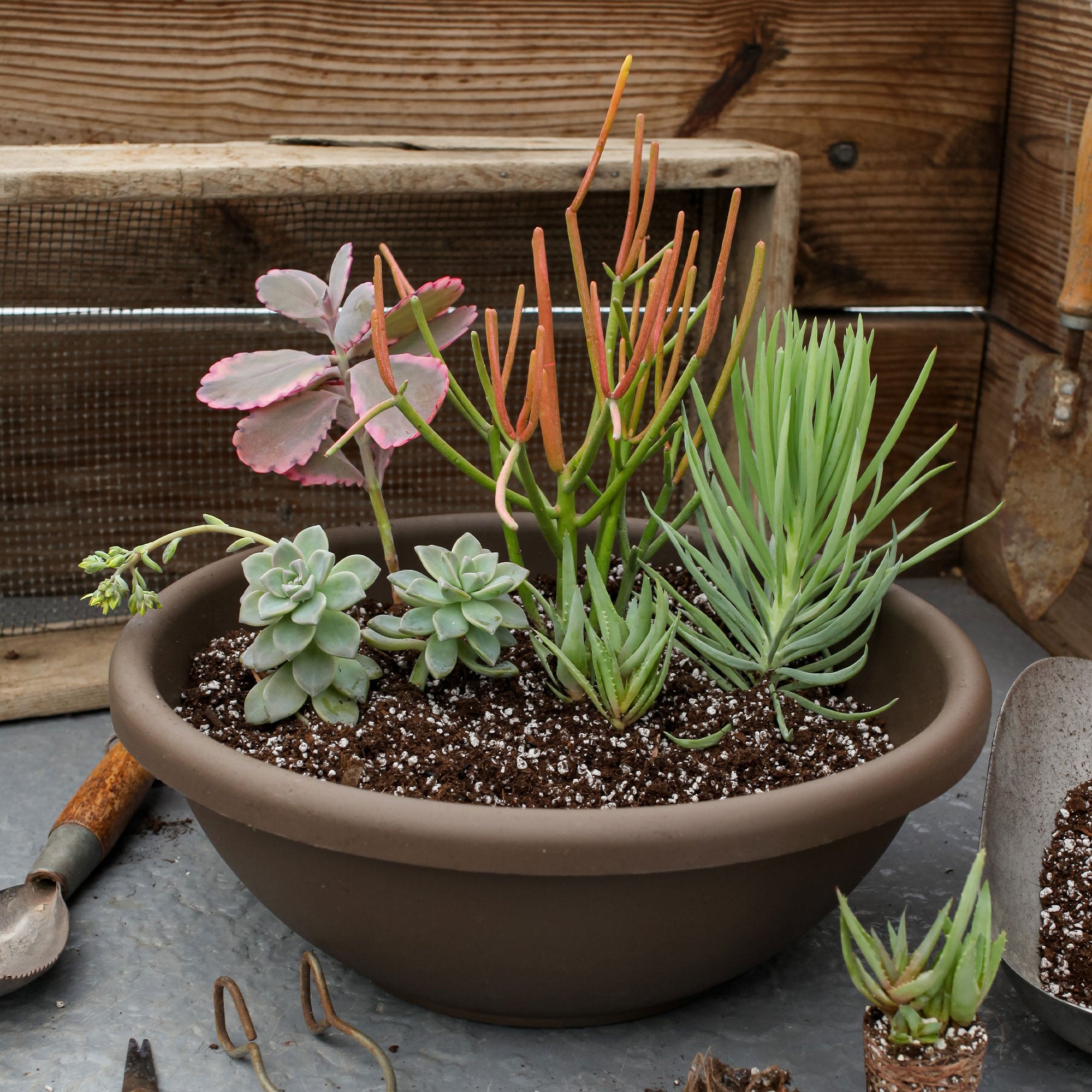 HC Companies 22 Inch Resin Garden Bowl Planter Pot, Chocolate Brown (6 Pack) - VMInnovations