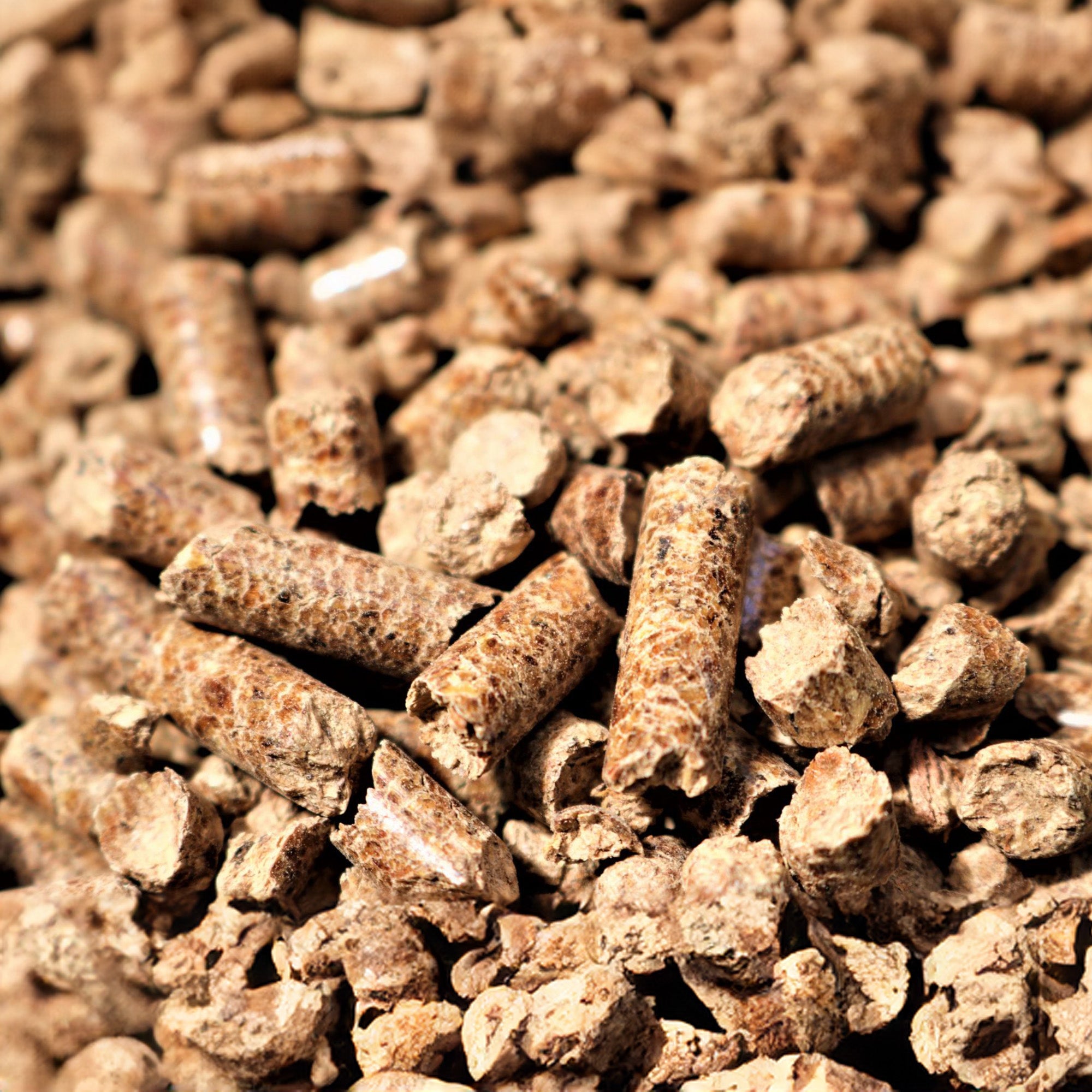 Bear Mountain BBQ Premium All-Natural Hardwood Apple Smoker Pellets, 20 Pounds - VMInnovations