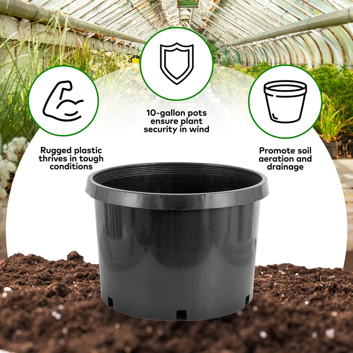 Pro Cal 10 Gallon Premium Nursery Black Plastic Planter Garden Grow Pots, 5 Pack - VMInnovations