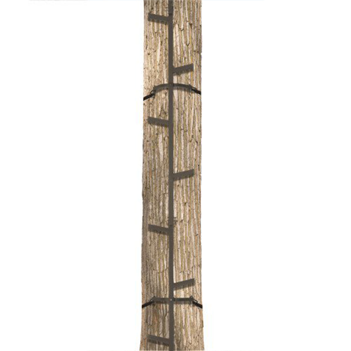 Big Game Hunting Quick Stick Steel Ladder Tree Climbing System, 20 Foot (2 Pack)
