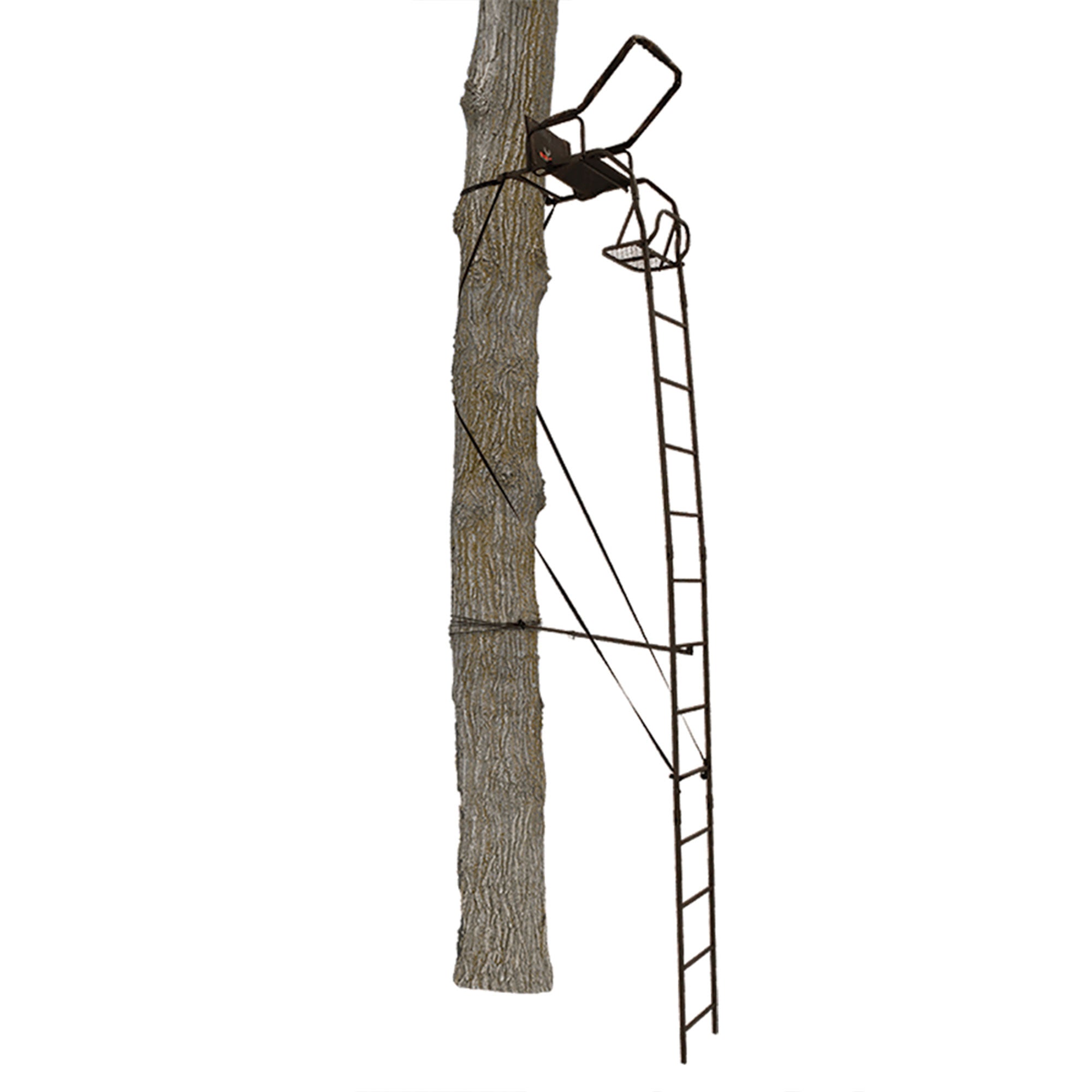 Big Game Warrior DXT Lightweight Portable Hunting Tree Stand Ladder, 17' (Used)