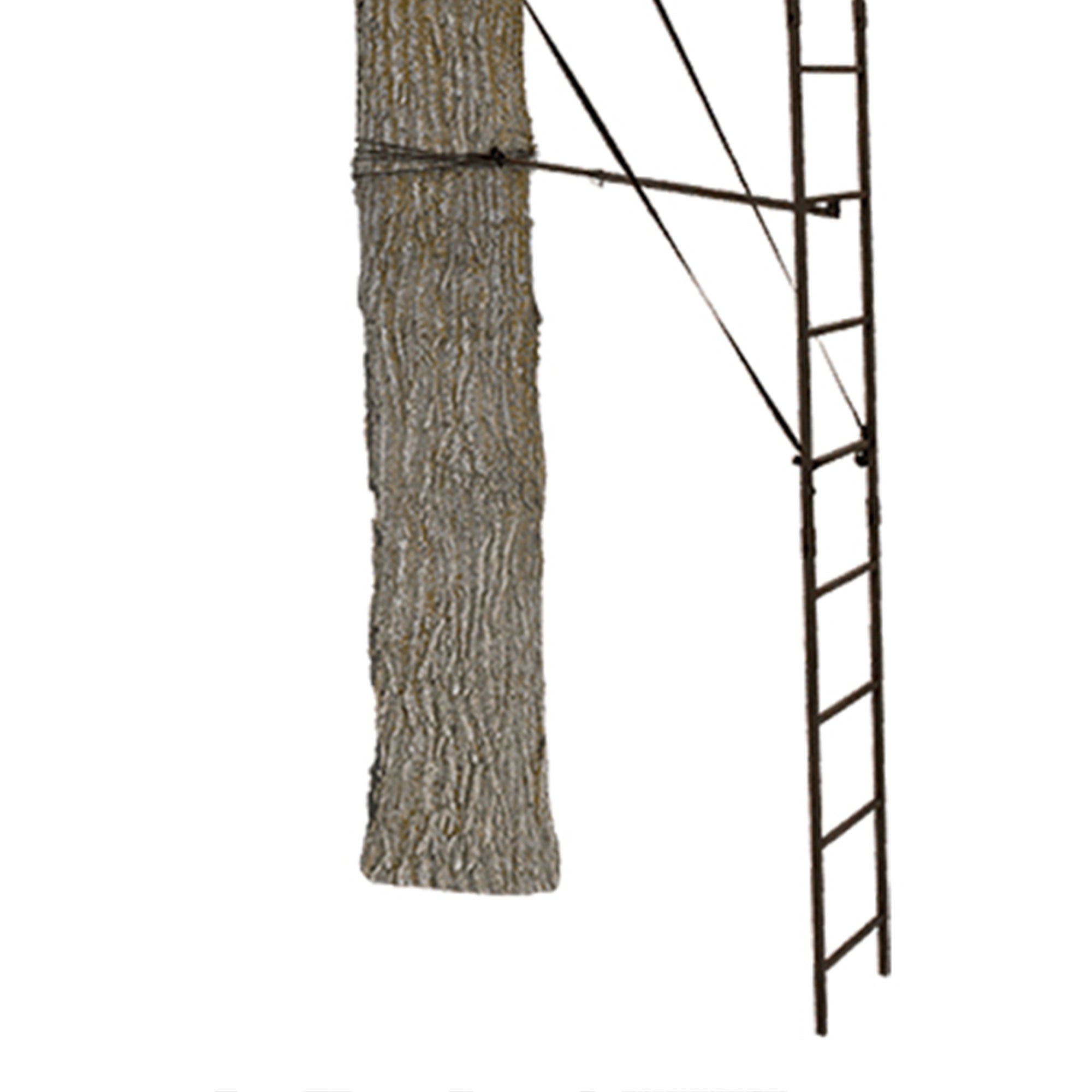 Big Game Warrior DXT Lightweight Portable Hunting Tree Stand Ladder, 17' (Used)
