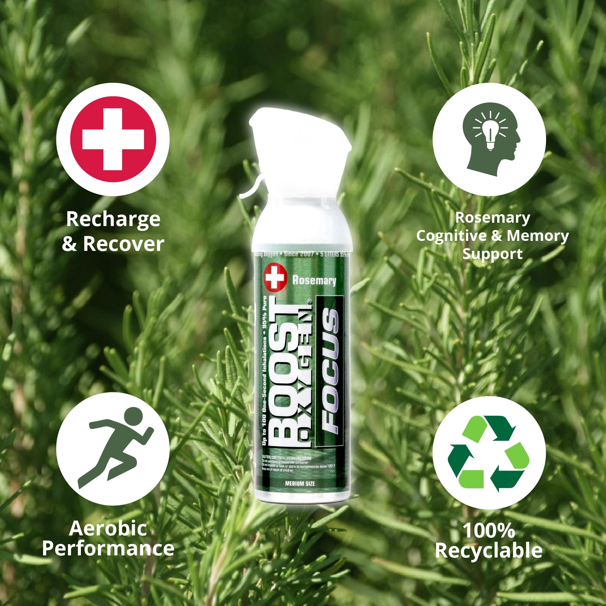 Boost Oxygen 5 L Think Tank Natural Portable Canned Oxygen, Rosemary (12 Pack) - VMInnovations