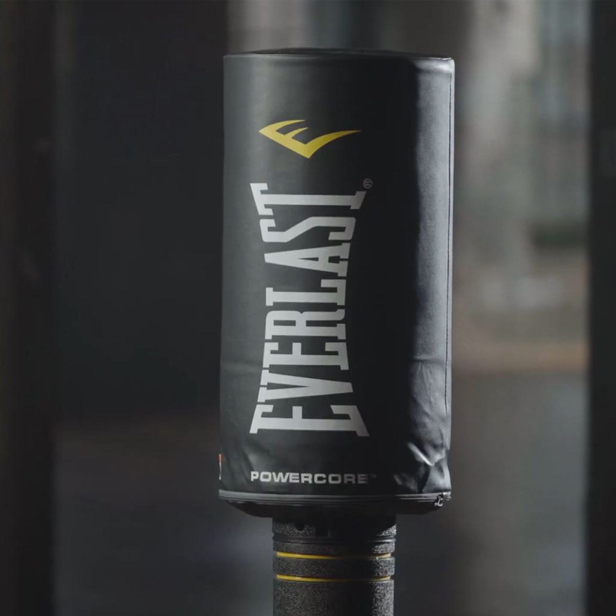 Everlast Powercore Freestanding Indoor Rounded Heavy Duty Fitness Training Bag - VMInnovations