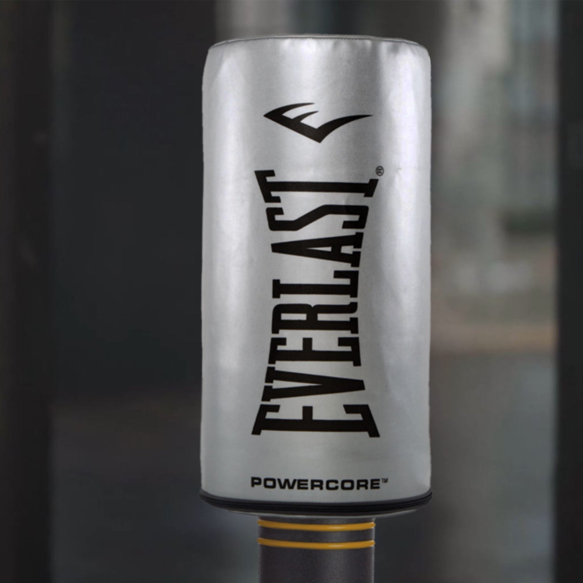Everlast Powercore Freestanding Indoor Heavy Duty Training Bag (For Parts) - VMInnovations