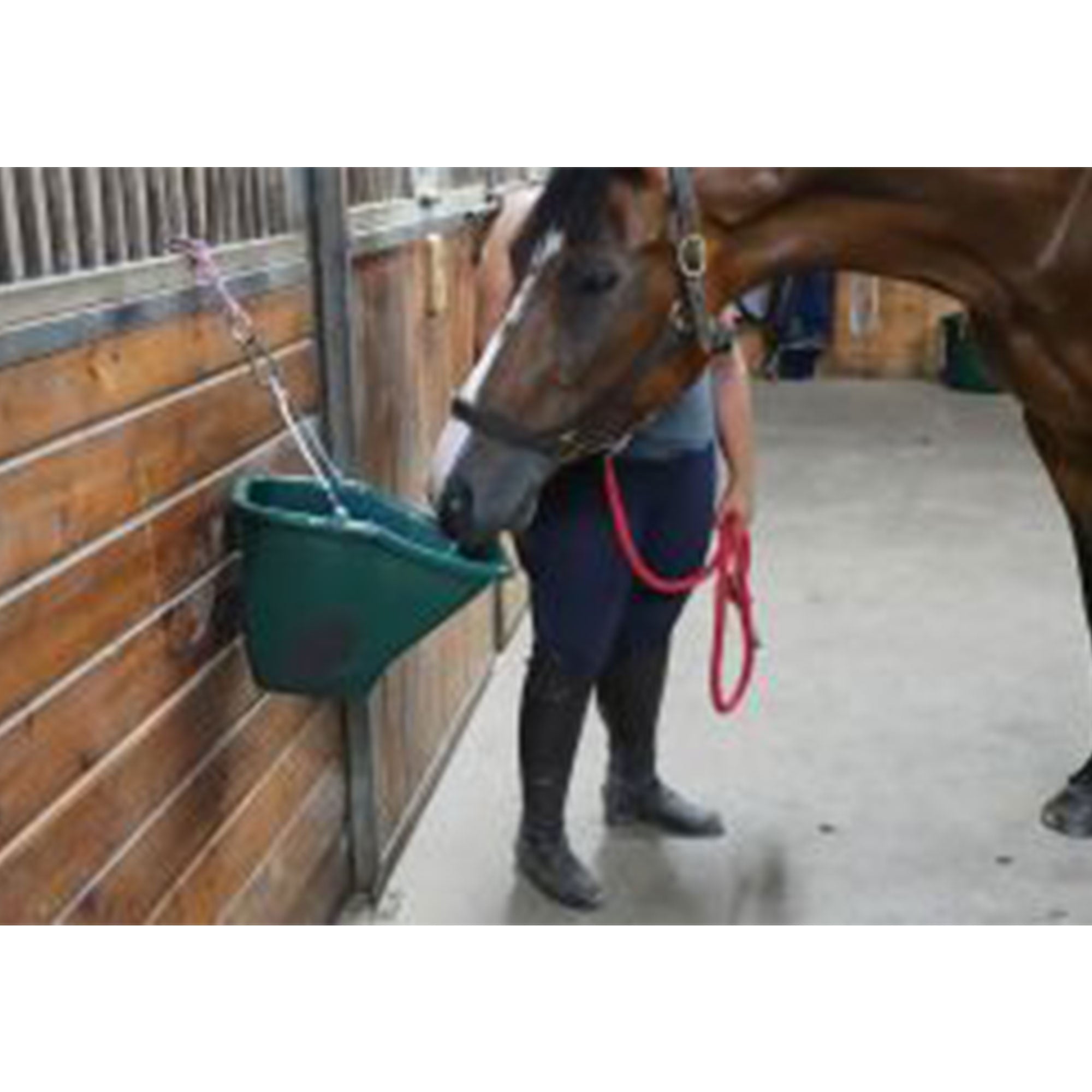 Little Giant 20-Quart Plastic Flat Back Livestock Feed Bucket, Green (Open Box) - VMInnovations