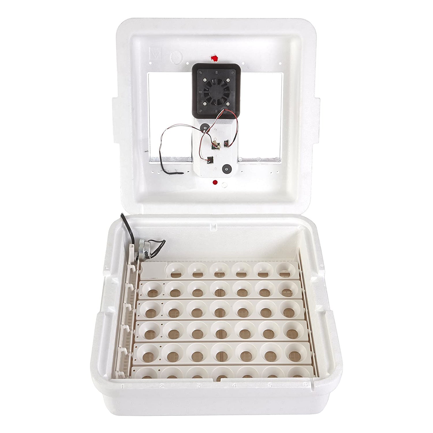 Little Giant Deluxe Digital Incubator w/Fan & Automatic Egg Turner (Open Box) - VMInnovations