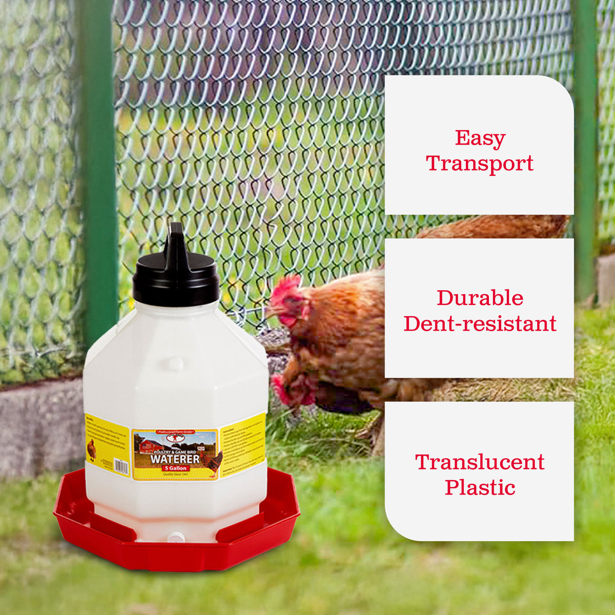 Little Giant PPF5 5 Gallon Automatic Poultry Waterer for Chickens, Red (4 Pack) - VMInnovations