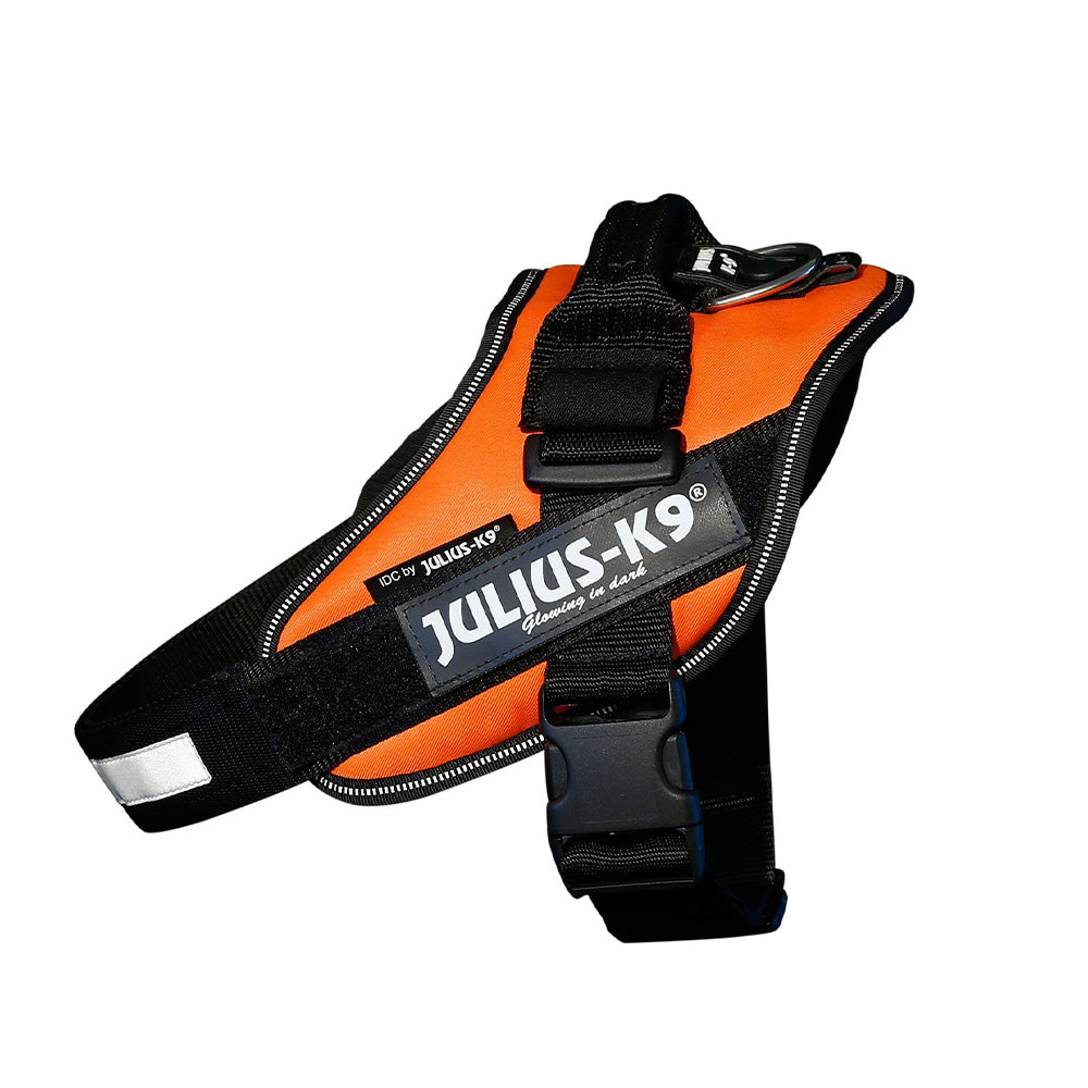 Julius-K9 IDC Reflective Dog Walking Vest Harness for Large Dogs (Used)